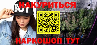 шишки Бузулук