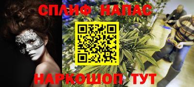шишки Бузулук