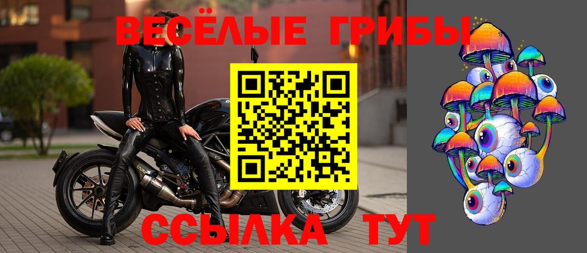 Галлюциногенные грибы MAGIC MUSHROOMS Реутов