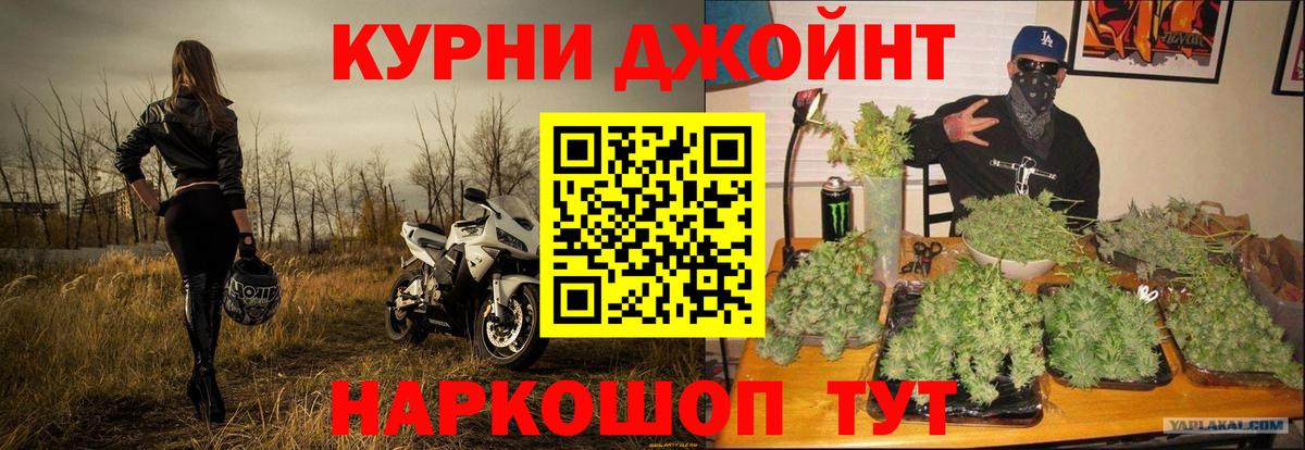 Бошки Шишки гибрид Реутов